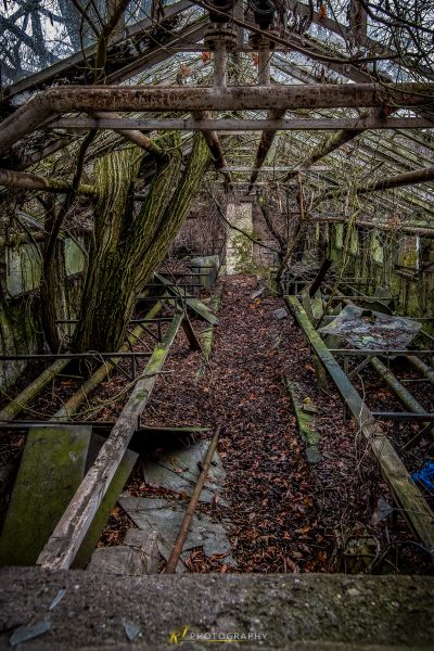 Eine Holzkonstruktion im Wald