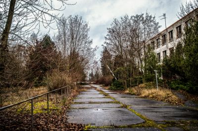 Eine Straße mit einem Haufen Bäume und einem Gebäude