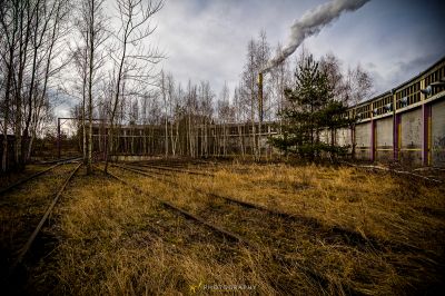 Eine Bahnstrecke mit einem Zug im Hintergrund
