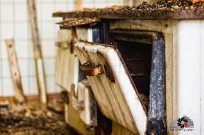 Ein Bienenstock in einem Bienenstockkasten