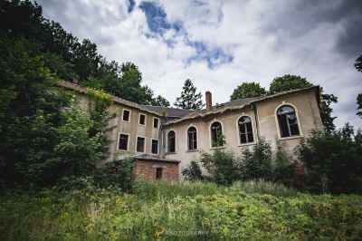 Ein Haus mit vielen Fenstern und vielen Bäumen