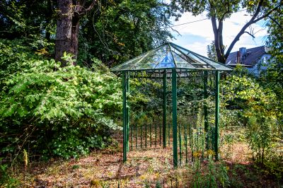 Ein Blick in den Wald