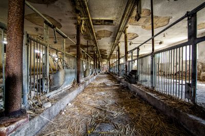 Eine lange Reihe Heu