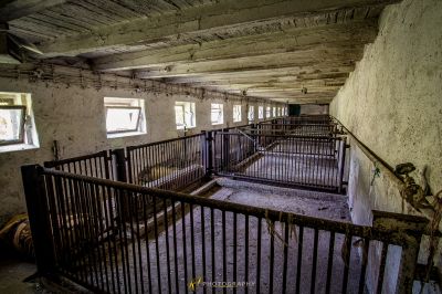 Ein Zimmer mit einer Treppe und einem Fenster