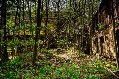 Ein hölzernes Gebäude im Wald