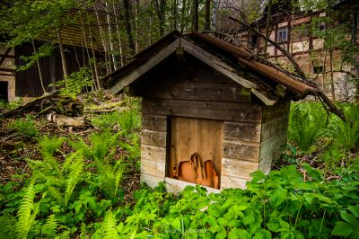 Eine kleine Holzhütte im Wald