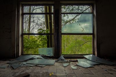 Ein Fenster mit Blick auf einen Wald außerhalb
