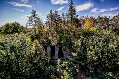 Ein kleines Gebäude in der Mitte eines Waldes