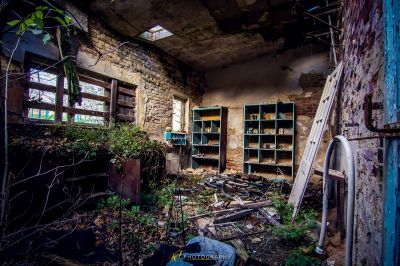 Ein Raum mit einem Haufen Pflanzen, die darin wachsen