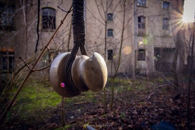 Ein Metallobjekt, das von einem Baumzweig hängt