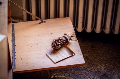 Ein Tisch mit einem Vogelnest darauf