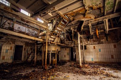 Ein Zimmer mit einem Bündel von Blättern auf dem Boden