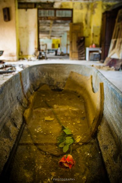 Eine Badewanne in einem schmutzigen Raum mit einer Blume