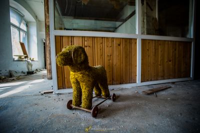 Ein Teddybär sitzt auf einem Skateboard in einem Raum