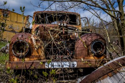 Ein alter LKW sitzt im Wald