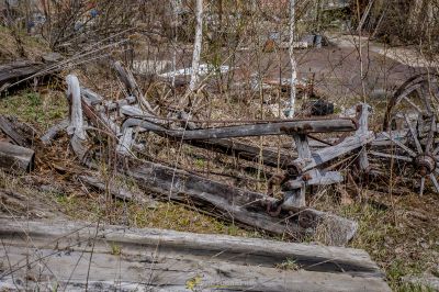 Ein Haufen alter Holzstücke im Wald