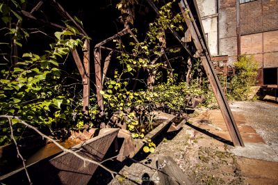 Eine Bahnstrecke mit einer Reihe von Blättern darauf