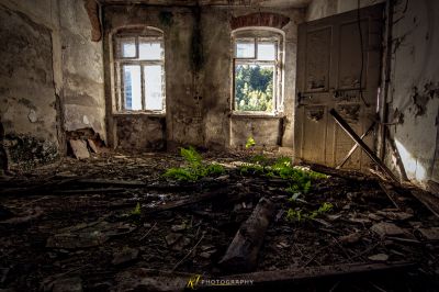 Ein Raum mit einem Haufen Pflanzen darin