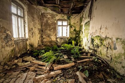 Ein Raum mit einem Haufen Pflanzen darin