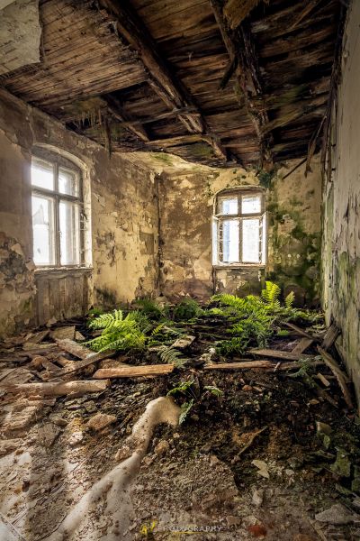 Ein Raum mit einem Haufen Pflanzen darin