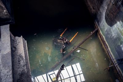 Ein Vogel sitzt auf einem Ast in einem schmutzigen Bereich