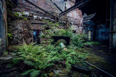 Ein sehr altes Gebäude mit vielen Pflanzen, die darin wachsen