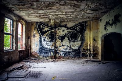 Eine Katze ist an der Wand eines verlassenen Gebäudes gemalt