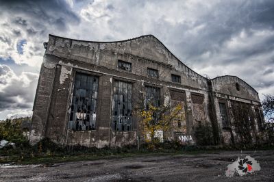 Ein Gebäude mit einem Hund davor