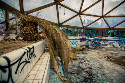 Ein Pool mit Graffiti an den Wänden und einer Palme