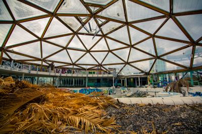 Ein großer Haufen Holz