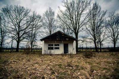 Ein kleines Haus in einem Feld mit Bäumen