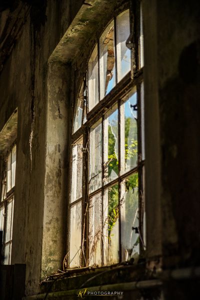 Ein Fenster mit einem Vogel darauf thront