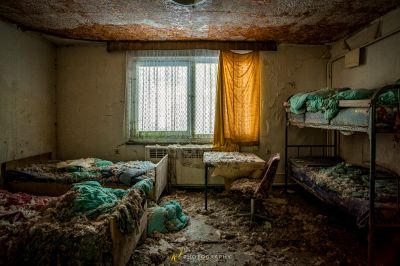 Ein Zimmer mit einem Haufen Betten und einem Fenster