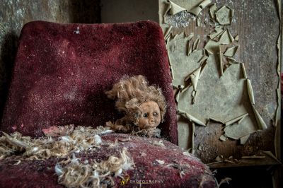 Ein kleiner Hund sitzt auf einem roten Stuhl