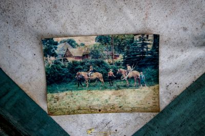 Ein Bild von einem Pferd und einem Esel auf einem Feld