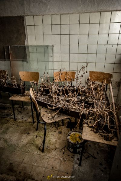 Ein Zimmer mit einem Haufen Ästen auf dem Boden