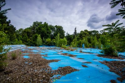Eine blaue Plane in einem Wald
