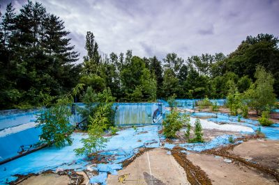 Ein blauer Pool mit ein paar Bäumen im Hintergrund