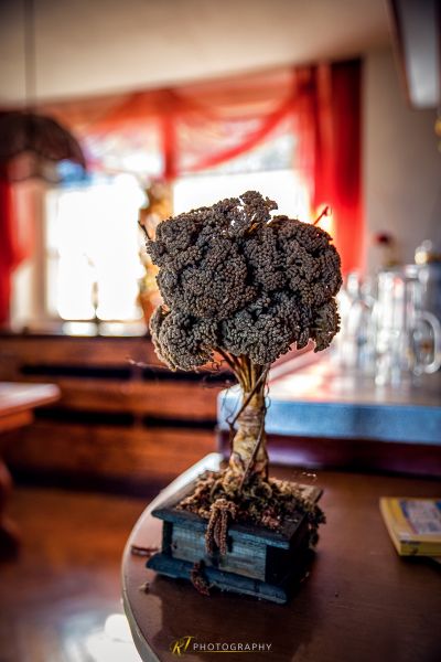 Ein kleiner Baum auf einem Tisch