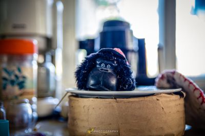 Ein Spielzeug Gorilla sitzt in einer Schüssel auf einem Tisch