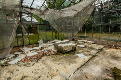 Ein Zimmer mit einem Netz, das darüber hängt