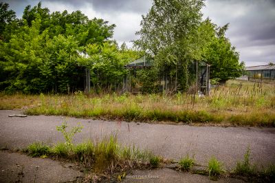 Ein eingezäunter Bereich mit einem Blumenstrauß und einem Gebäude im Hintergrund