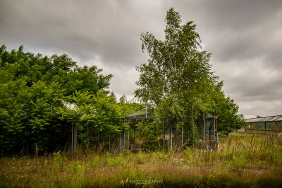 Eine umzäunte Fläche mit einem Baum und einem Gebäude