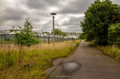 Ein Pfad durch ein Feld aus hohem Gras