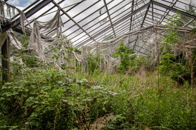 Ein Gewächshaus mit vielen Pflanzen, die innen wachsen