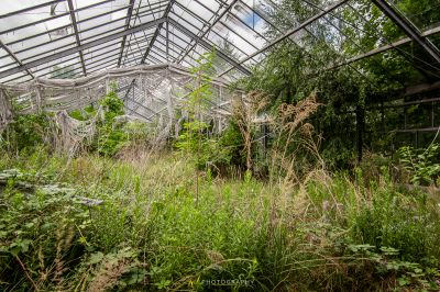 Ein Gewächshaus mit vielen Pflanzen im Inneren