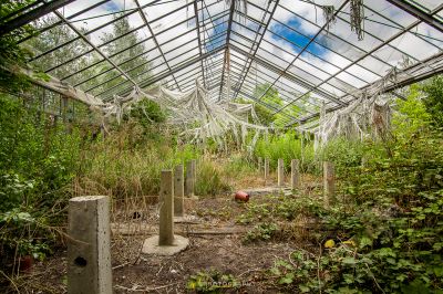 Ein Gewächshaus mit vielen Pflanzen, die innen wachsen