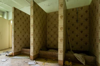 Ein Zimmer mit einem Bett und einer Wand mit einem Hund Pfotenabdrücke