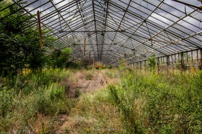 Ein Gewächshaus mit einem Schotterweg in der Mitte
