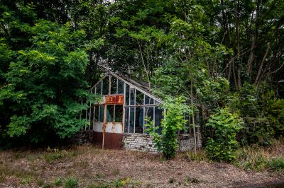Ein kleines Gebäude im Wald mit einer kaputten Tür